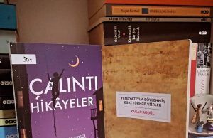 Yaşar Akgül’ün ‘Yangında İlk Kurtarılacak Şiirler’i Üzerine: 5 | Ali Celep