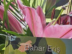 Kitap Yorumu | Baharın İlk Şarkısı | Aylin Özgür