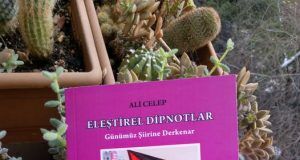 İlkay Coşkun, ‘Eleştirel Dipnotlar’ Üzerine Yazdı…