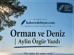 Orman ve Deniz | Aylin Özgür Yazdı…