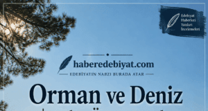 Orman ve Deniz | Aylin Özgür Yazdı…