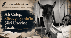 Süreyya’nın Şiiri | Ali Celep Yazdı…